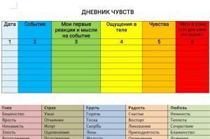 ДНЕВНИК ЧУВСТВ