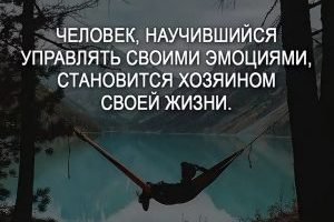 Эмоциональная зрелость (часть 5) — Нэнси Мак-Вильямс