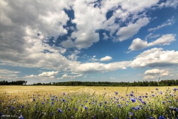 Практика «Ресурсное место»